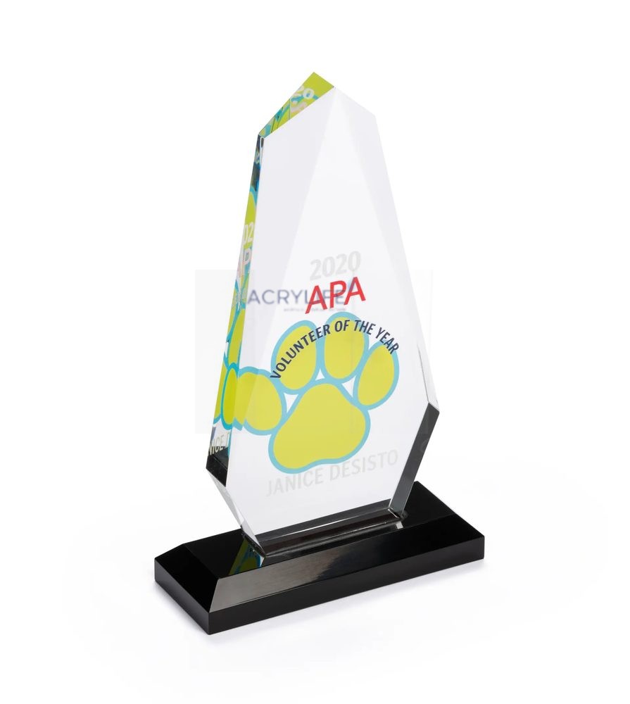 Cúp Mica Acrylife Hình Giọt Nước – 13 × 22 cm – Đế Đen