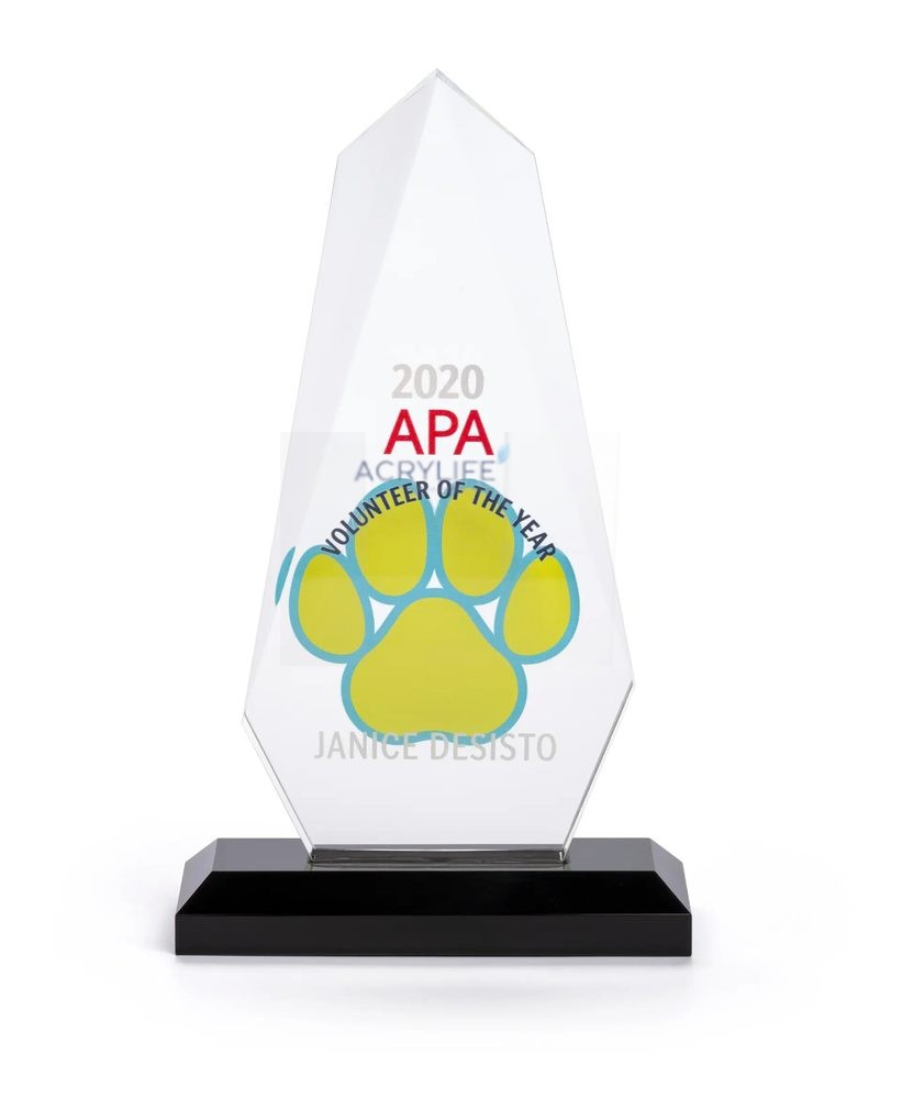 Cúp Mica Acrylife Hình Giọt Nước – 13 × 22 cm – Đế Đen ảnh 2